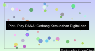 gambar pintu play dana