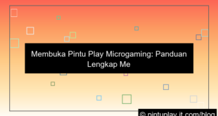 desain pintu play microgaming