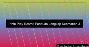 pintu play resmi