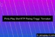 grafik pintu play slot rtp paling tinggi