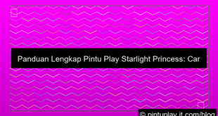 visual pintu play starlight princess