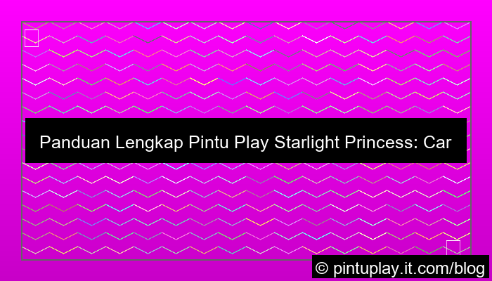 visual pintu play starlight princess