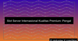 ilustrasi slot server internasional kualitas server premium