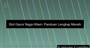 slot gacor naga hitam